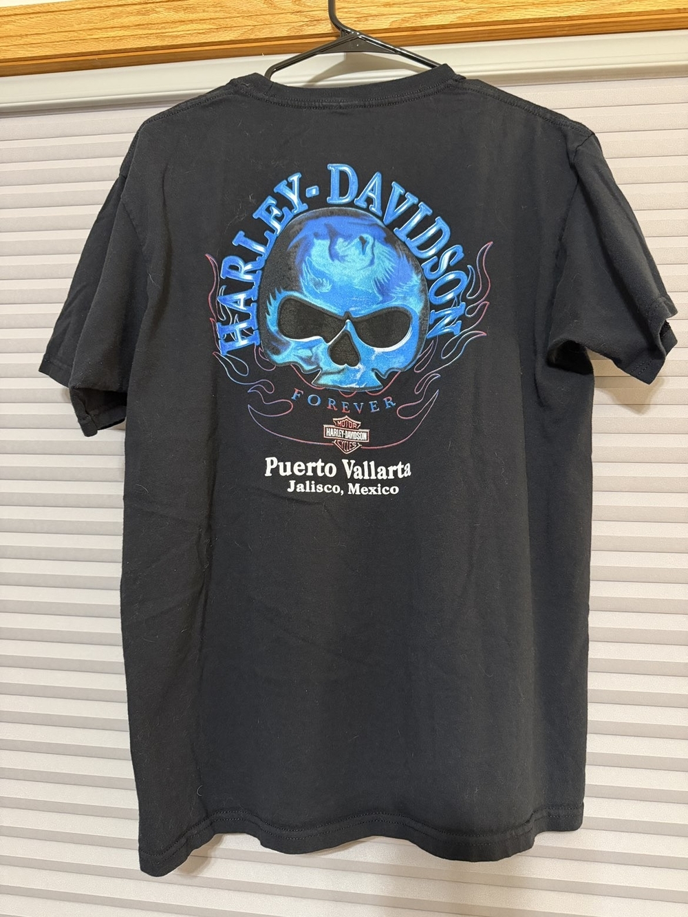 Harley-Davidson Black T-Shirt with Blue Skull Graphic